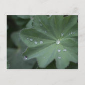 Duw op een lef briefkaart (Voorkant)