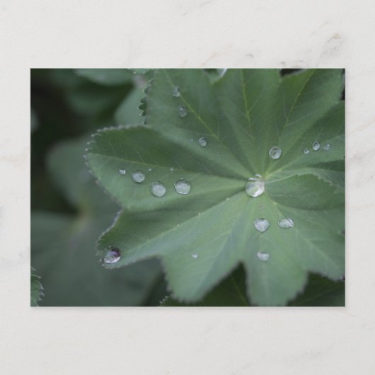 Duw op een lef briefkaart (Voorkant)