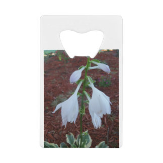 Duw op een Sun Hosta Bloom Creditkaart Flessenopener