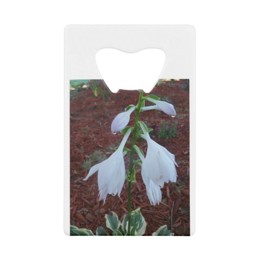 Duw op een Sun Hosta Bloom Creditkaart Flessenopener (Voorkant)