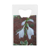 Duw op een Sun Hosta Bloom Creditkaart Flessenopener (Achterkant)