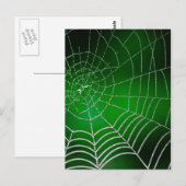 Duw op spderweb briefkaart (Voorkant / Achterkant)