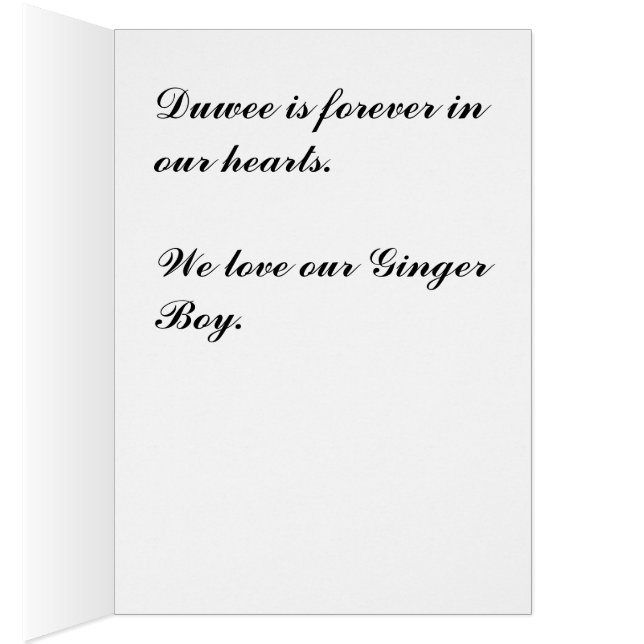 Duwee (Binnen (Rechts))