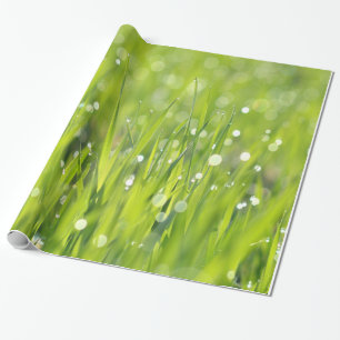 Duwvallen op gras cadeaupapier