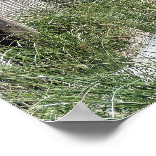 Duxbury Beach Poster (Hoek)