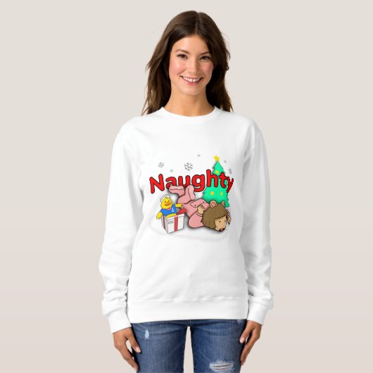 DW Arthur’s Perfect Christmas sweatshirt (Voorkant volledig)
