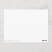 Dwaas de Gisser Briefkaart (Achterkant)