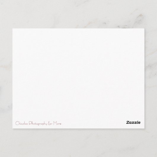 Dwaas de Gisser Briefkaart (Achterkant)