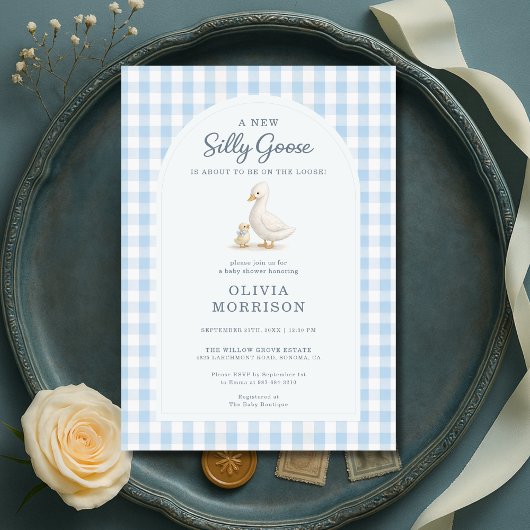 Dwaas Gans Blauw Gingham Baby Shower Kaart