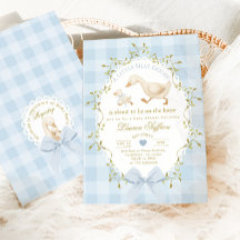 Dwaas Gans Blauw Gingham Jongens Babyfeest