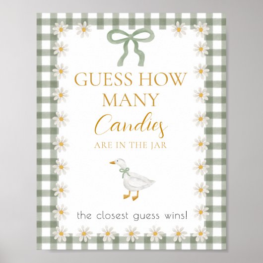 Dwaas Gans Groene Gingham Baby Shower Raadspel Poster (Voorkant)