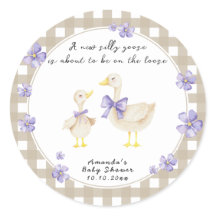 Dwaas Gansje Baby Shower