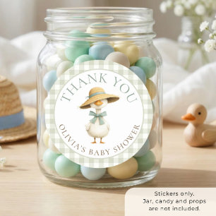 Dwaas Ganzensaliede Gingham Bedankt Baby Shower Ronde Sticker