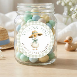 Dwaas Ganzensaliede Gingham Bedankt Baby Shower Ronde Sticker