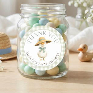 Dwaas Ganzensaliede Gingham Bedankt Baby Shower Ronde Sticker