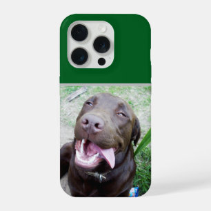 Dwaas Geluk: Chocolade Bruine Labrador Puppy, iPhone 15 Pro Case