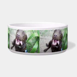 Dwaas Geluk: Chocolade Bruine Labrador Puppy, Voerbakje