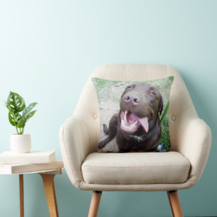 Dwaas Geluk: Chocoladebruine Labradors Puppy, Kussen