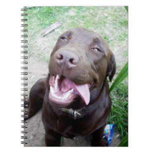 Dwaas Geluk: Chocoladebruine Labradors Puppy, Notitieboek