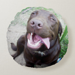 Dwaas Geluk: Chocoladebruine Labradors Puppy, Rond Kussen