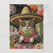 Dwaas kat met kattenkruid-cupcake collage briefkaart (Voorkant)