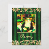 Dwaas Kattekruid Niet Klaver Heilige Patricks Dag  Notitiekaartje (Voorkant)