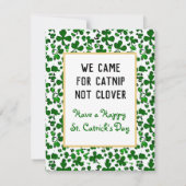 Dwaas Kattekruid Niet Klaver Heilige Patricks Dag  Notitiekaartje (Achterkant)