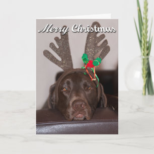 Dwaas Labrador-hondje met Kerst- hertengewei Feestdagen Kaart