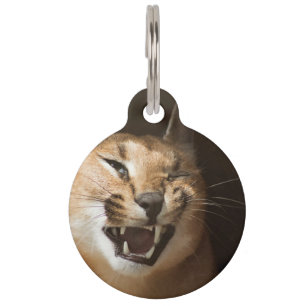 Dwaas Lynx Huisdierpenning