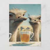 Dwaas Struisvogel Theetijd Briefkaart (Voorkant)