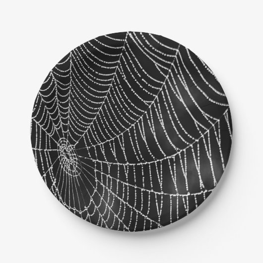 Dwangspiderweb Papieren Bordje (Voorkant)