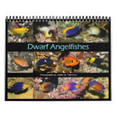 Dwarf Angelfishes Wall Calendar van J.W. Fatherree Kalender (Hoes)
