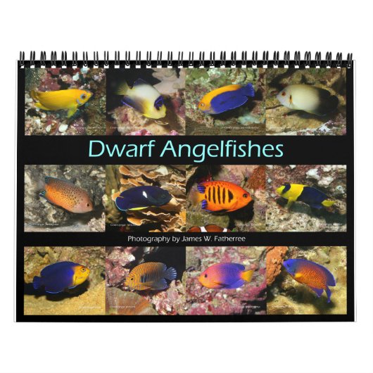 Dwarf Angelfishes Wall Calendar van J.W. Fatherree Kalender (Hoes)