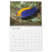 Dwarf Angelfishes Wall Calendar van J.W. Fatherree Kalender (Mar 2026)