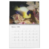 Dwarf Angelfishes Wall Calendar van J.W. Fatherree Kalender (Feb 2026)