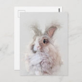 Dwarf Angora Rabbit Wildlife Portret Briefkaart (Voorkant / Achterkant)