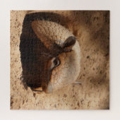 Dwarf Armadillo Gezegde Hallo Legpuzzel (Horizontaal)