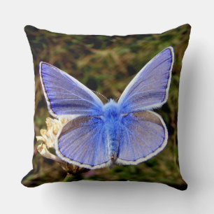 Dwarf Blue Butterfly Kussen
