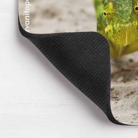 Dwarf Chameleon Muismat (Hoek)