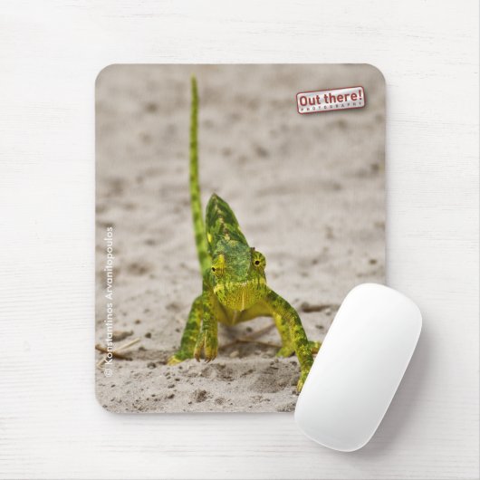 Dwarf Chameleon Muismat (Met muis)