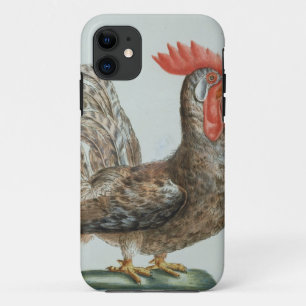 Dwarf Cocreel, c.1767-76 (met de hand gekleurde gr iPhone 11 Hoesje