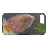 Dwarf Gourami Fish Case-Mate iPhone Case (Achterkant (Horizontaal))