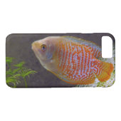 Dwarf Gourami Fish Case-Mate iPhone Case (Achterkant (Horizontaal))