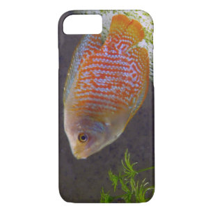 Dwarf Gourami Fish Case-Mate iPhone Case