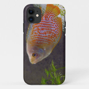 Dwarf Gourami Fish Case-Mate iPhone Case
