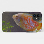 Dwarf Gourami Fish Case-Mate iPhone Case (Achterkant (horizontaal))