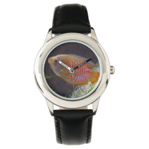 Dwarf Gourami Fish Horloge