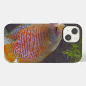 Dwarf Gourami Fish iPhone Hoesje (Achterkant horizontaal)
