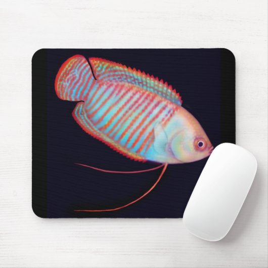 Dwarf Gourami Tropical Fish Mousepad Muismat (Met muis)