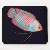 Dwarf Gourami Tropical Fish Mousepad Muismat (Voorkant)
